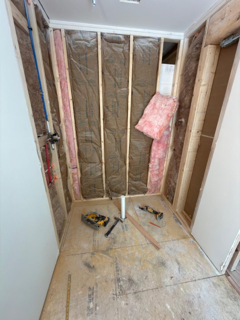 Full-Home Remodel